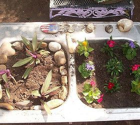 spring flowers, flowers, gardening, Used another old sink to plant some of the new spring flowers