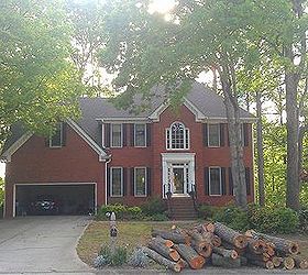 feeling a little melancholy watching trees come down, gardening, AFTER