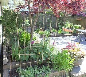 making a woven trellis, gardening, Start by placing a row of bamboo stakes solidly in the ground Weave another length of bamboo back and forth between the stakes Repeat with another stake but alternating the weave