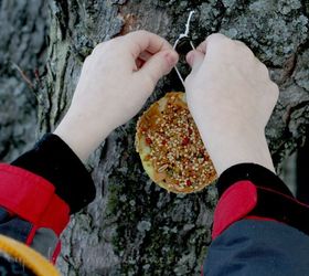 easy to make bird feeders amp bird treats, gardening, My little guy hanging his bird treats