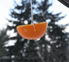 easy to make bird feeders amp bird treats, gardening, Homemade Bird Feeder