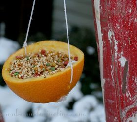 easy to make bird feeders amp bird treats, gardening, Bird Feeder hanging from my little red ladder