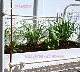 herb garden from an antique crib, gardening, repurposing upcycling