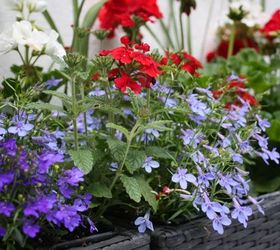 upping your curb appeal, curb appeal, flowers, gardening