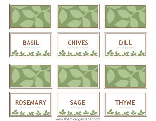 20 DIY Creative Plant Labels Hometalk