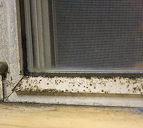How to Clean and Restore Aluminum Window Frames | Hometalk