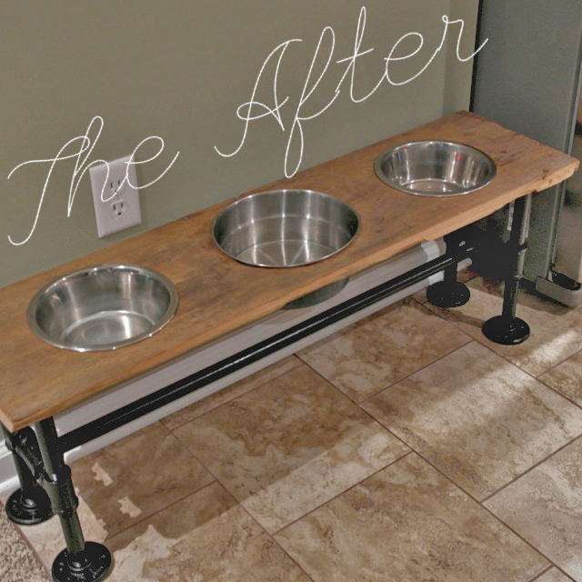 10 Ridiculously Easy DIY Pet Food Stand Projects 10-ridiculously-easy-diy-pet-food-stand-projects