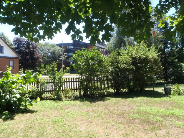 gardening backyard before after, gardening