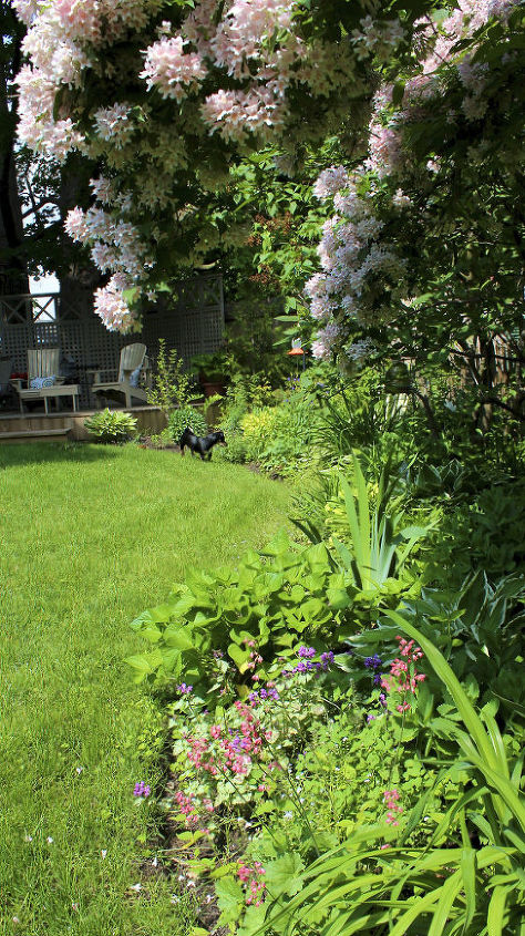 gardening backyard before after, gardening