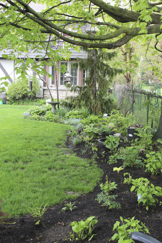 gardening backyard before after, gardening
