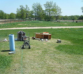 Why are most chicken coops up in the air? flying the coop? Hometalk