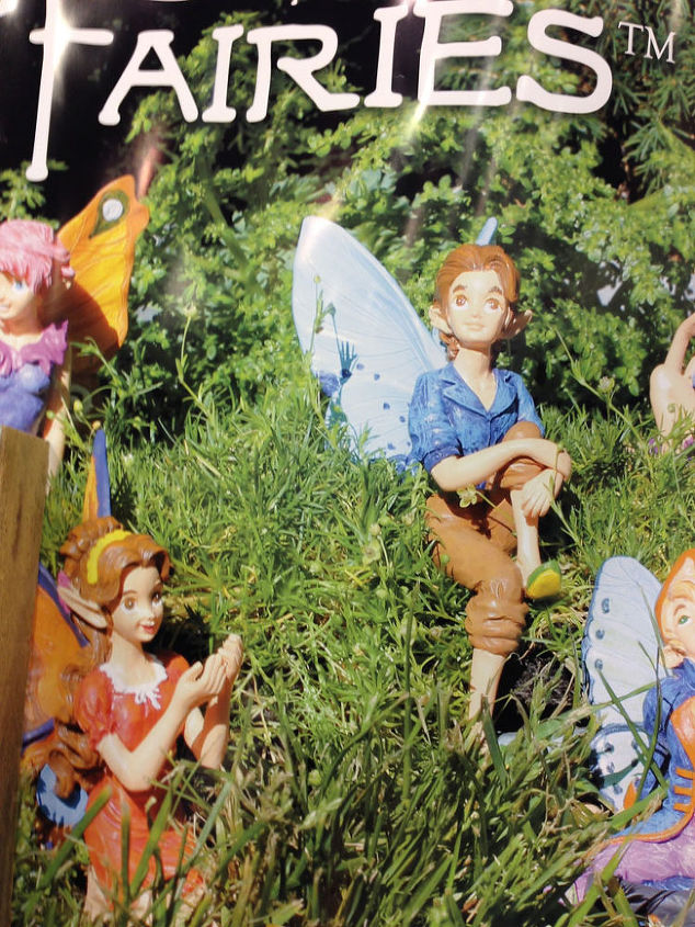 Why Not Miniature Roses and Fairy Gardens Hometalk Why Not Miniature Roses and Fairy Gardens Hometalk
