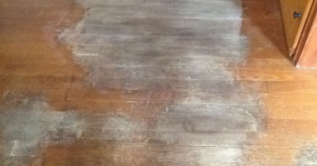 urine floors hardwood stains dog removing cleaning hometalk flooring