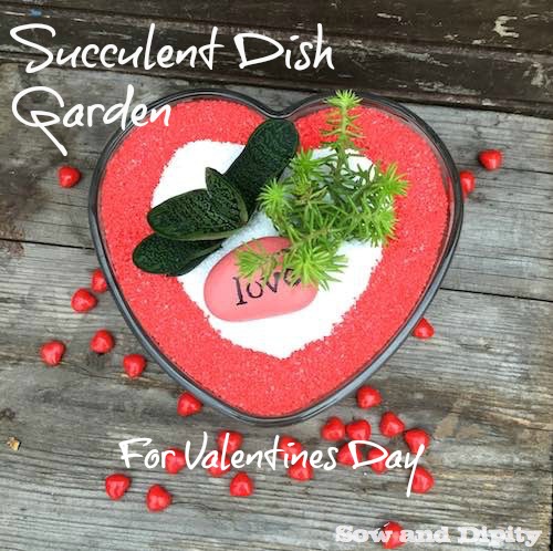 Succulent Dish Garden Ideas best 20 dish garden ideas on pinterest suculent plants outdoor centre and plants for terrariums Succulent Dish Garden For Valentines Day Flowers Gardening Seasonal Holiday Decor Succulents Succulent Dish Garden Ideas use unique upcycled containers to create your own succulent dish garden these tin Succulent Dish Garden For Valentines Day Flowers Gardening Seasonal Holiday Decor Succulents