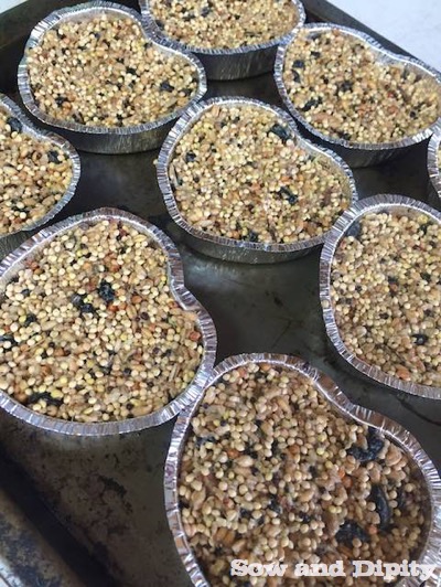 Recipe For Birdseed Cakes Recipe For Birdseed Cakes