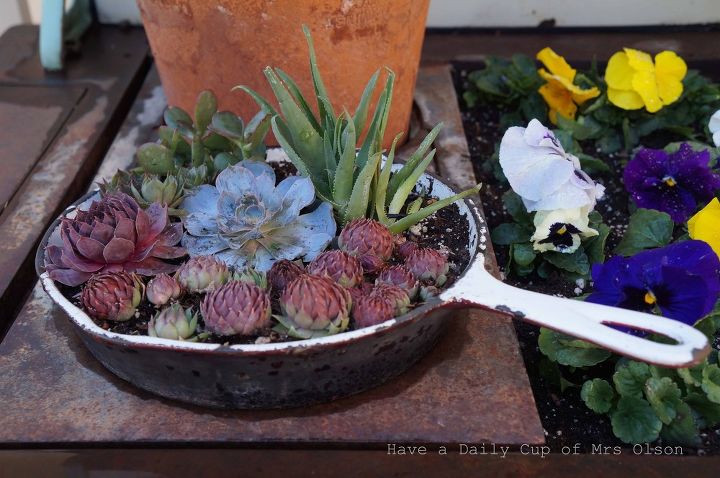 don-t-toss-those-old-pots-and-pans-turn-them-into-succulent-planters-container-gardening-flowers-gardening.jpg?size=634x922&nocrop=1