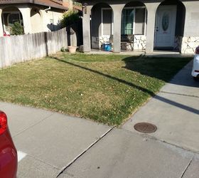 Need a no/low water front yard solution | Hometalk