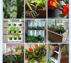 Indoor Gardening Tips Idea Box by Lisa Making Life Blissful Hometalk