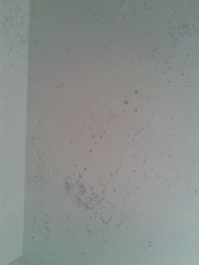 How do you remove ceiling mold?