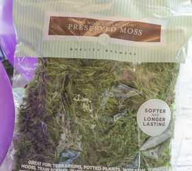 Make Your Own Moss Balls Hometalk