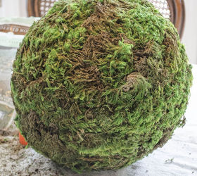 Make Your Own Moss Balls Hometalk