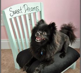 Upcycled DIY Pet Bed From an Old Chair Hometalk