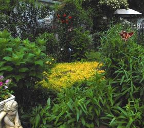 transforming my backyard into a secret garden, flowers, gardening, landscape, outdoor living, perennial