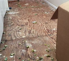 replacing the old carpet with vinyl plank flooring, diy, flooring