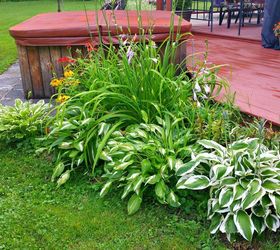 outdoor living our staycation backyard, decks, gardening, landscape, outdoor furniture, outdoor living