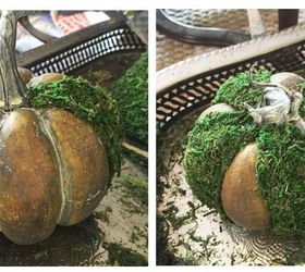 moss pumpkins make your own, crafts, seasonal holiday decor