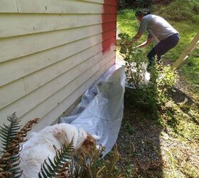 let s paint the barn red, diy, outdoor living, painting