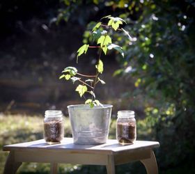 a once in a lifetime country wedding, diy, outdoor living