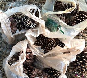 how to prepare pine cones for wreaths, crafts, how to, seasonal holiday decor, wreaths
