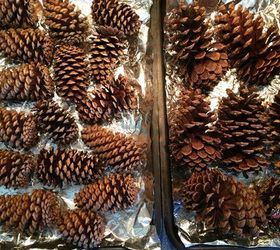 how to prepare pine cones for wreaths, crafts, how to, seasonal holiday decor, wreaths