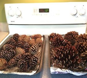 how to prepare pine cones for wreaths, crafts, how to, seasonal holiday decor, wreaths