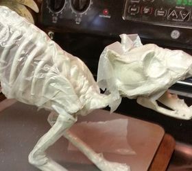 mummify a plastic skeleton, crafts, halloween decorations