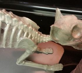 mummify a plastic skeleton, crafts, halloween decorations
