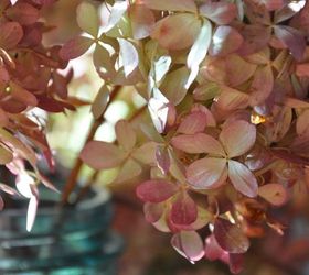 how to dry and use hydrangeas, crafts, how to, hydrangea, wreaths