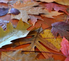 how to easily preserve fall leaves with an iron and wax paper, crafts, how to