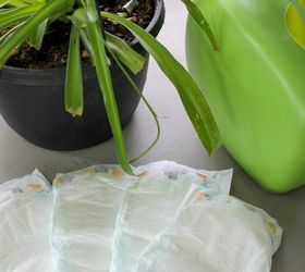 how to have lush healthy houseplants with less watering, gardening, home decor