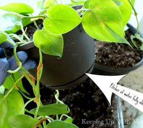 how to have lush healthy houseplants with less watering, gardening, home decor