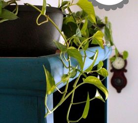 how to have lush healthy houseplants with less watering, gardening, home decor