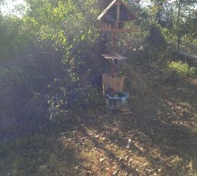 feral cat shack planter, gardening, outdoor living, pets animals