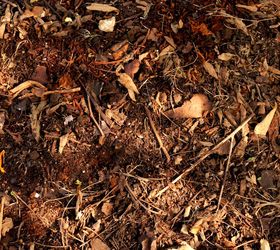 4 great ways to use those falling leaves in your garden and landscape, gardening, landscape, Leaf compost mix