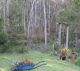 more spring photos of my garden, container gardening, gardening, repurposing upcycling