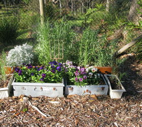 more spring photos of my garden, container gardening, gardening, repurposing upcycling