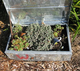more spring photos of my garden, container gardening, gardening, repurposing upcycling