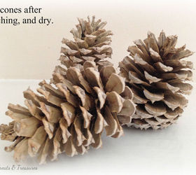 how to lighten pine cones using bleach, crafts, how to, repurposing upcycling, seasonal holiday decor