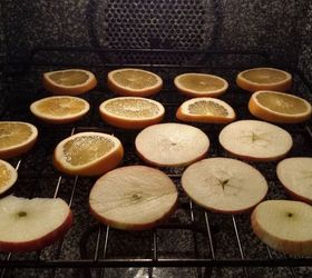 fruit suet kabobs for the birds, crafts, outdoor living, pets animals