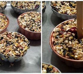 fruit suet kabobs for the birds, crafts, outdoor living, pets animals